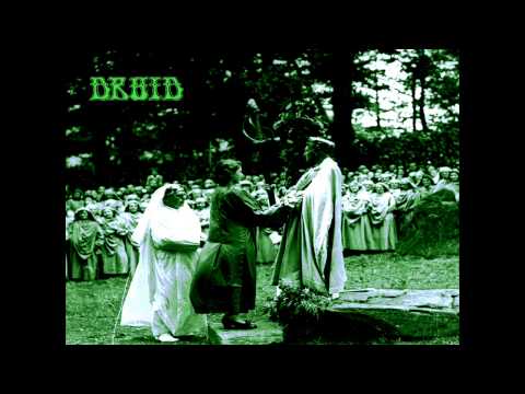 Druid - Roots &amp; Beings