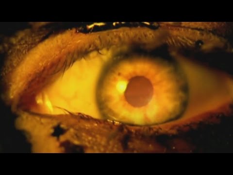 SLAYER - Eyes of The Insane (OFFICIAL MUSIC VIDEO)