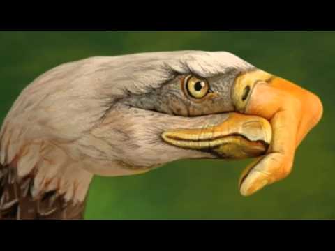Eagles - Take It Easy -HD