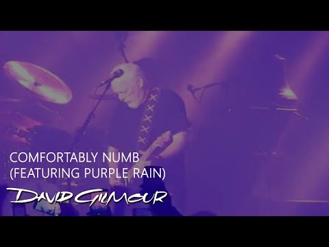 David Gilmour - Comfortably Numb (featuring Purple Rain)