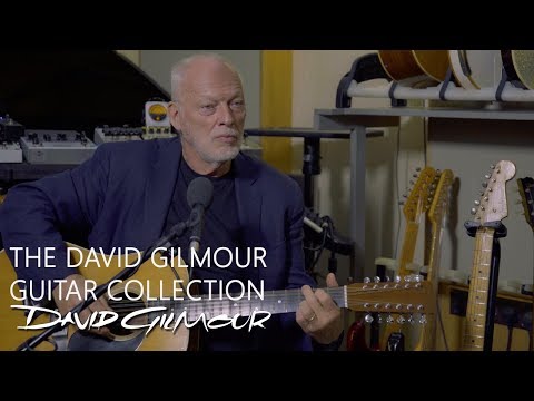 The David Gilmour Guitar Collection