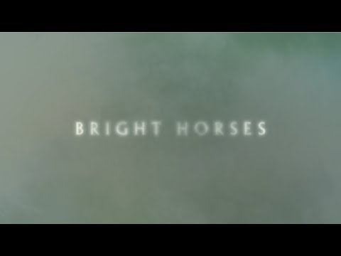 Nick Cave and The Bad Seeds - Bright Horses (Lyric Video)