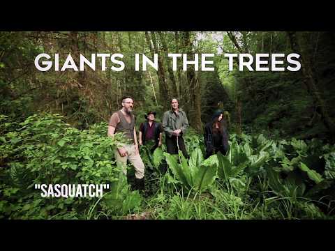 Giants in the Trees - Sasquatch (Official Video)
