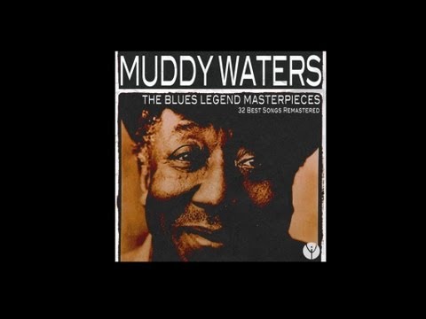 Muddy Waters - Rollin&#039; Stone