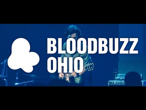 Brothers - Bloodbuzz Ohio (The National cover)