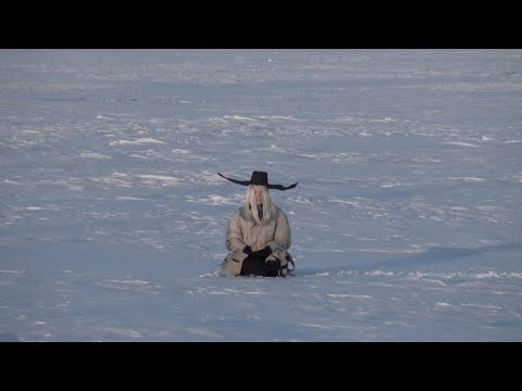 Fever Ray - &#039;North&#039; (Official Music Video)