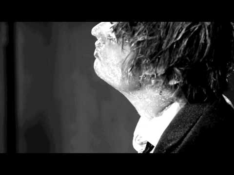 Peter Doherty - Flags of the Old Regime [official video]