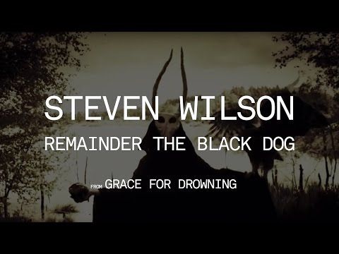 Steven Wilson - Remainder the Black Dog (from Grace for Drowning)
