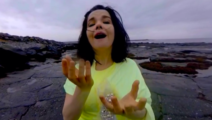 Björk - 'Stonemilker'