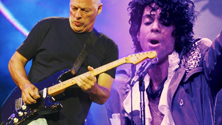 David Gilmour/Prince
