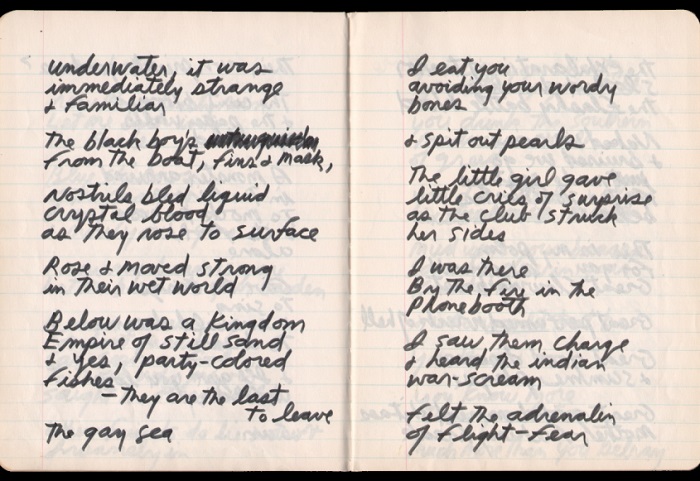 Χειρόγραφα του Jim Morrison