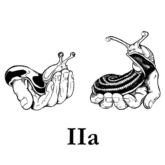 Slug Comparison - IIa / Εξώφυλλο