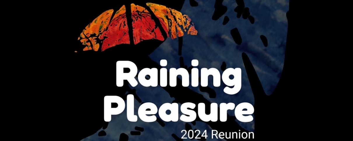 Raining Pleasure - reunion
